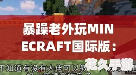 暴躁老外玩MINECRAFT國(guó)際版