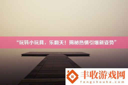 “玩轉(zhuǎn)小玩具