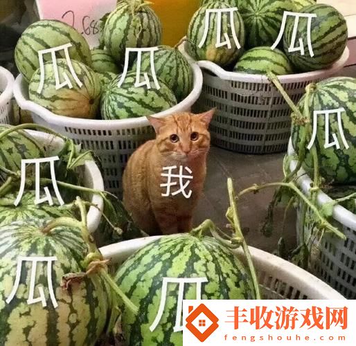 “全網(wǎng)吃瓜盛宴