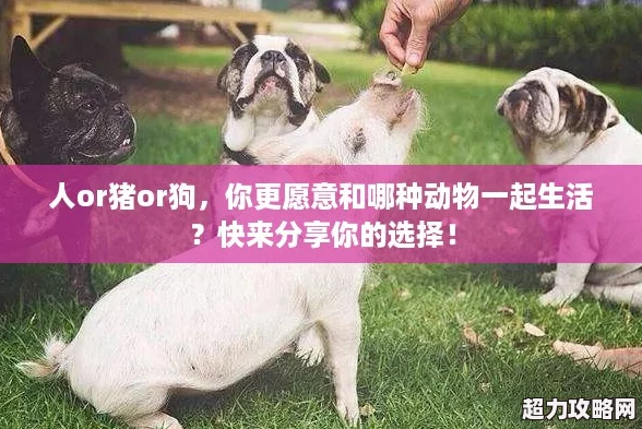 人or豬or狗你更愿意和哪種動物一起生活快來分享你的選擇！