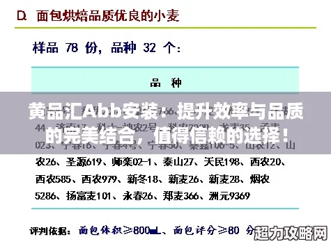 黃品匯Abb安裝